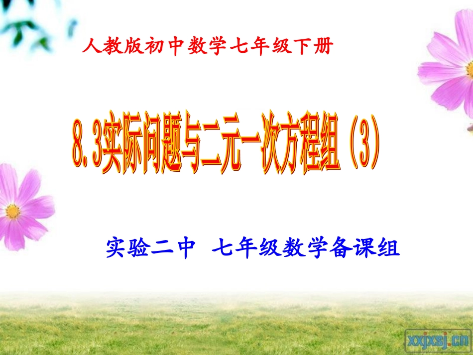 试讲定稿83实际问题与二元一次方程组_第2页
