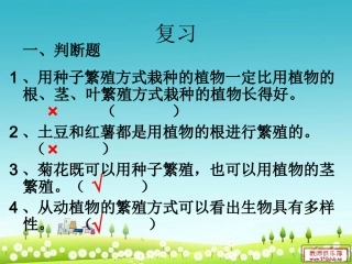 动物怎样繁殖后代0