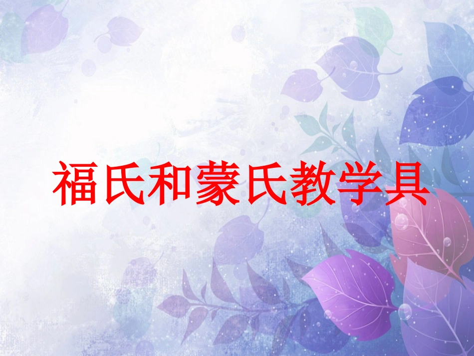 幼儿园中福氏和蒙氏教学具介绍_第1页