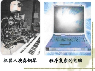 讲课用大脑课件