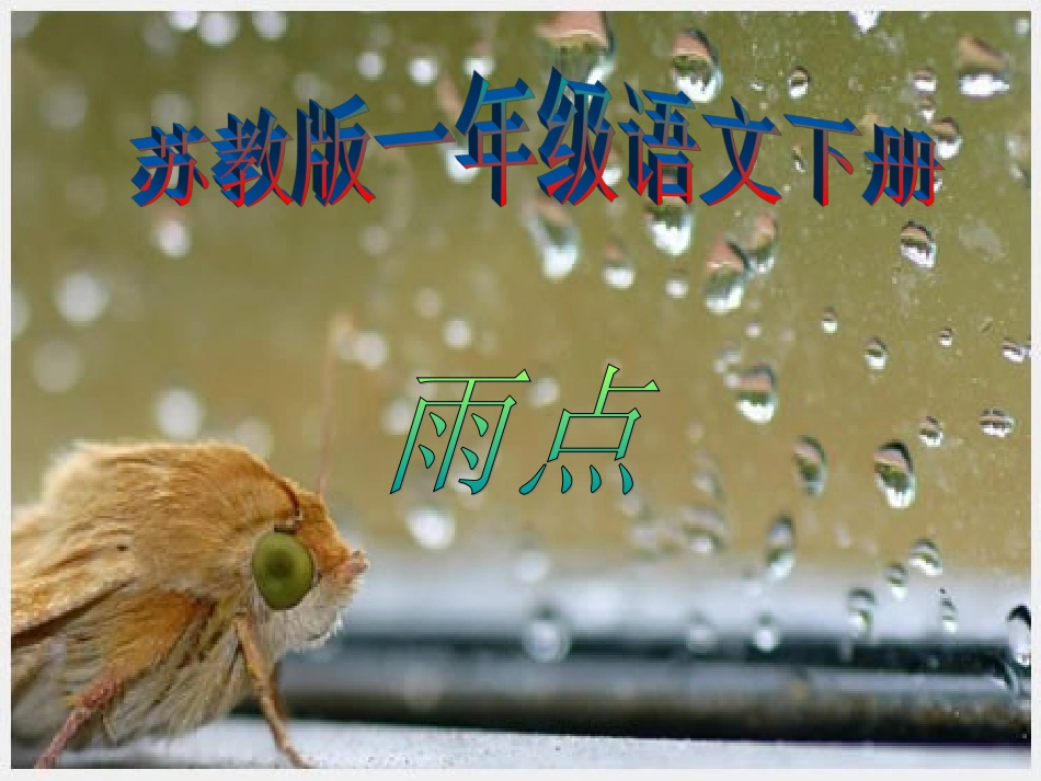 《雨点》课件(苏教版一年级语文下册课件)_第1页