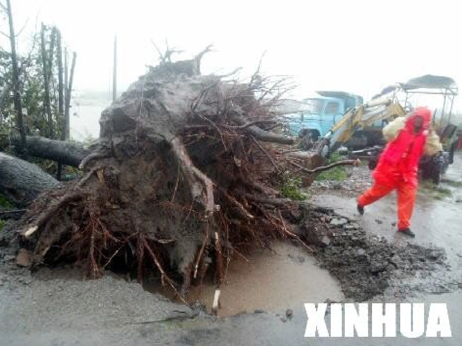跟踪台风的卫星_第2页