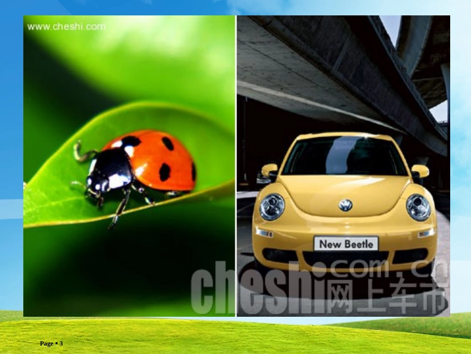 四年级下册语文园地三习作1_第3页