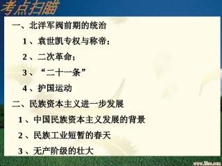 民族资本主义的发展(复习课）