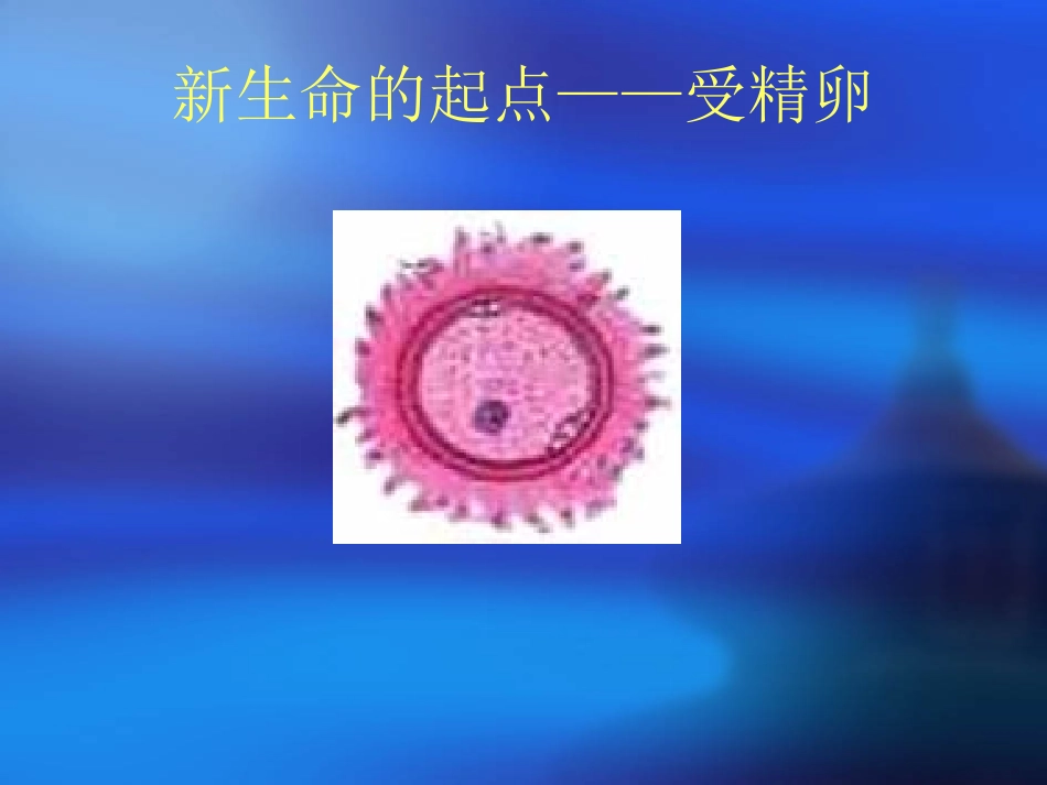 青春期的生理变化_第3页