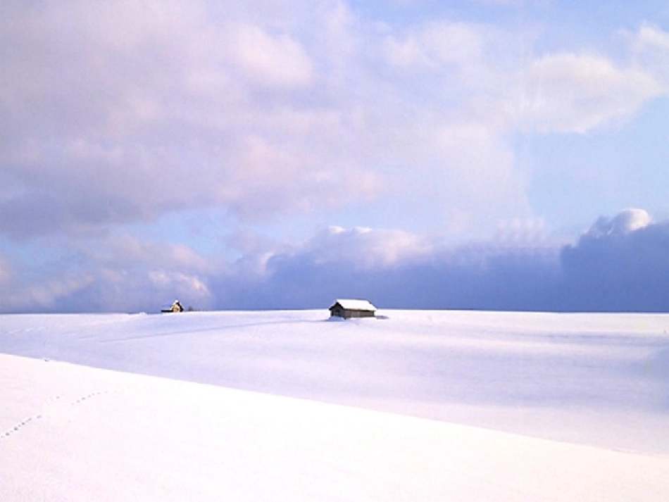 雪地里的小画家(新课标)_第2页