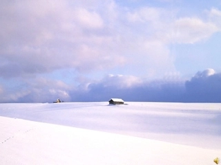 雪地里的小画家(新课标)