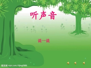 我们的鸟类朋友