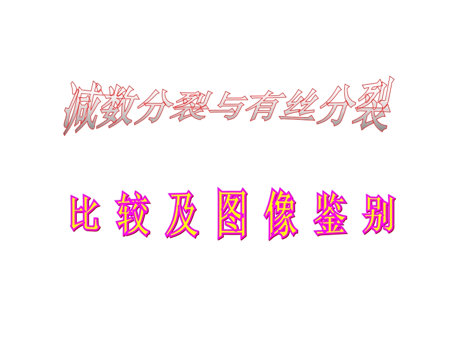 有丝分裂_减数分裂_图解_第1页