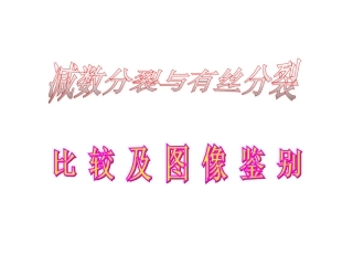 有丝分裂_减数分裂_图解