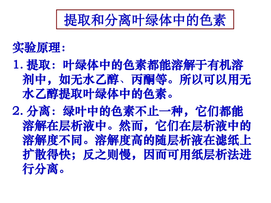 光合作用 (2)_第1页