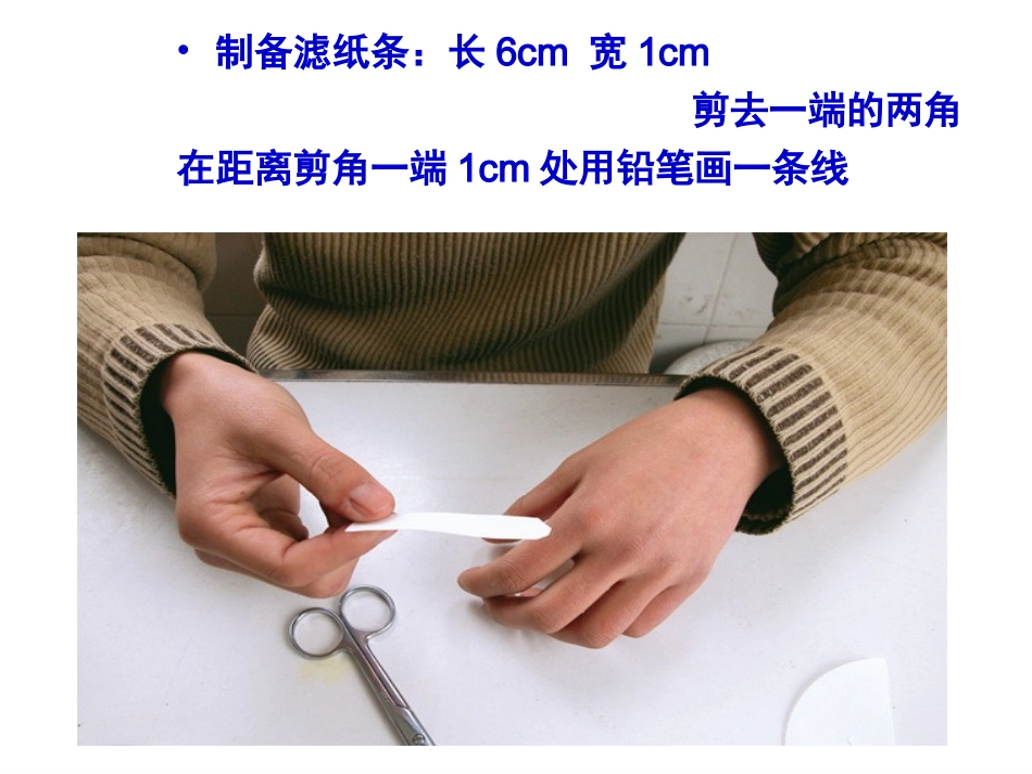 光合作用 (2)_第3页