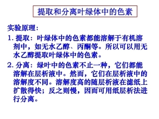 光合作用 (2)