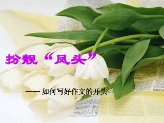 扮靓“凤头”——如何写好作文的开头课件