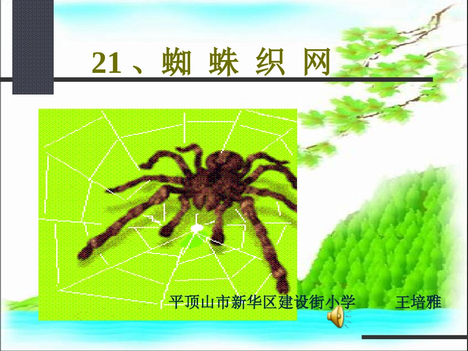 语文一年级下西师大版21《蜘蛛织网》课件6_第1页