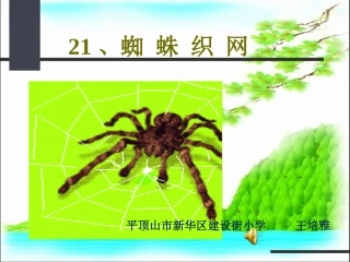 语文一年级下西师大版21《蜘蛛织网》课件6