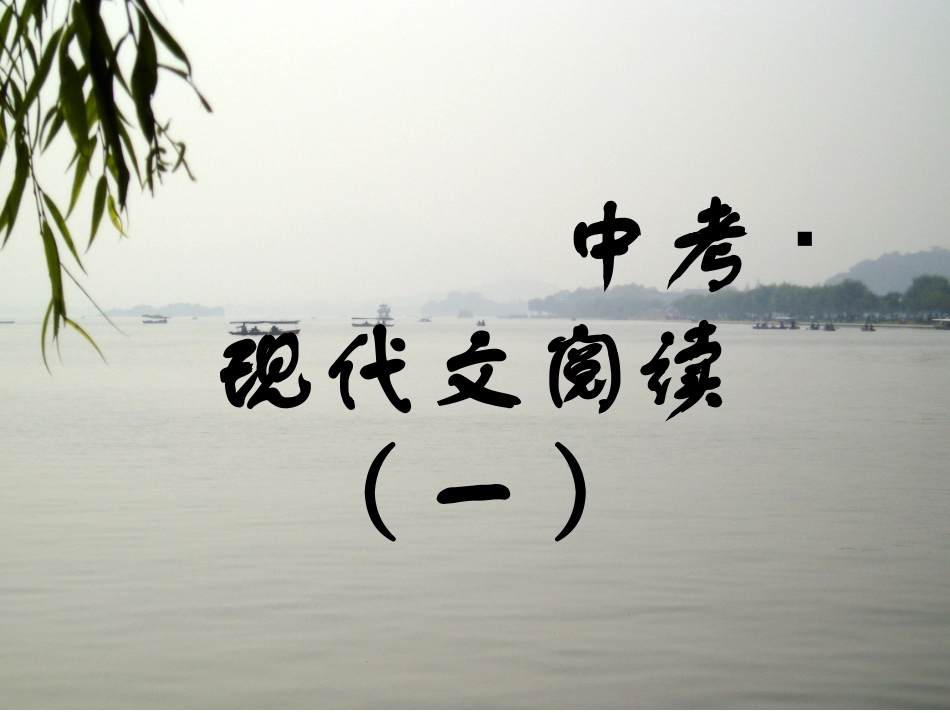 中考·现代文阅读_第1页