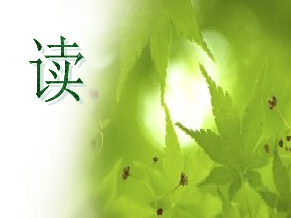 《定风波》课件_第2页