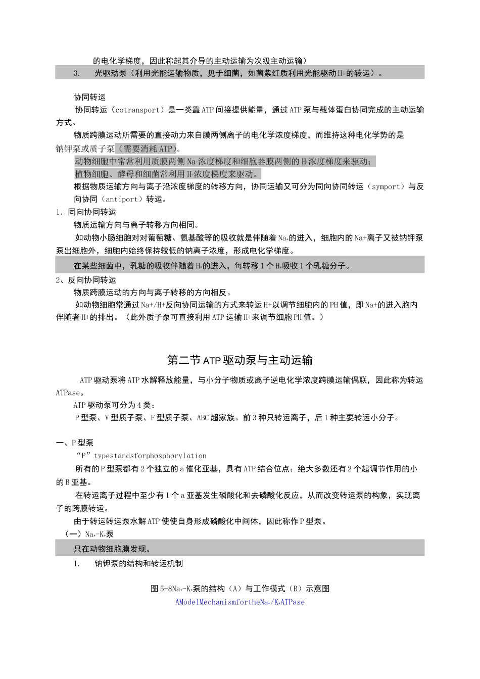 细胞生物学物质的跨膜运输_第3页