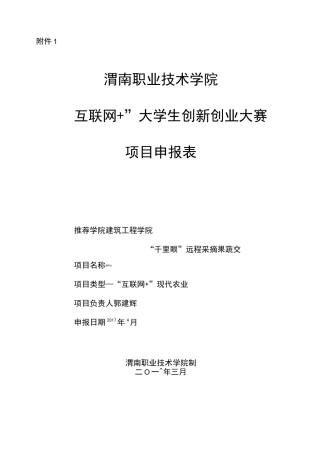 互联网+项目申报表