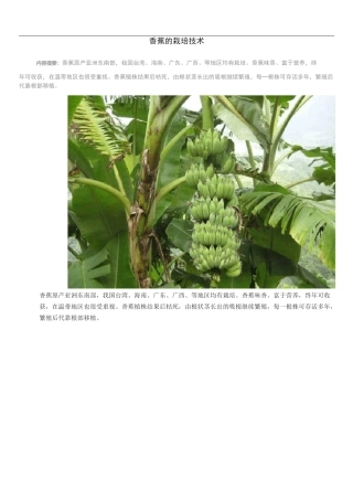 香蕉的栽培技术
