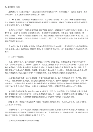 XX煤炭公司简介