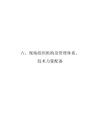 现场组织机构及管理体系技术力量配备