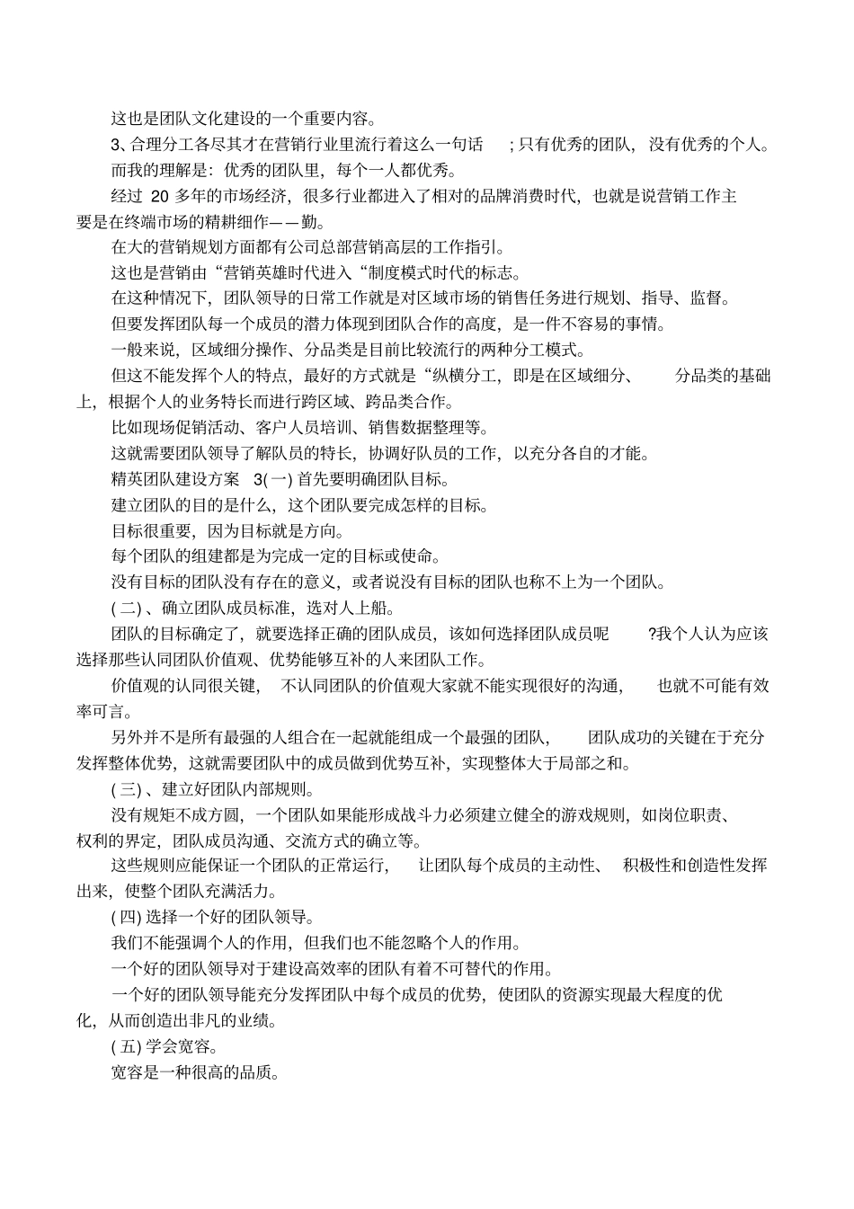 精英团队建设方案模板展示_第3页