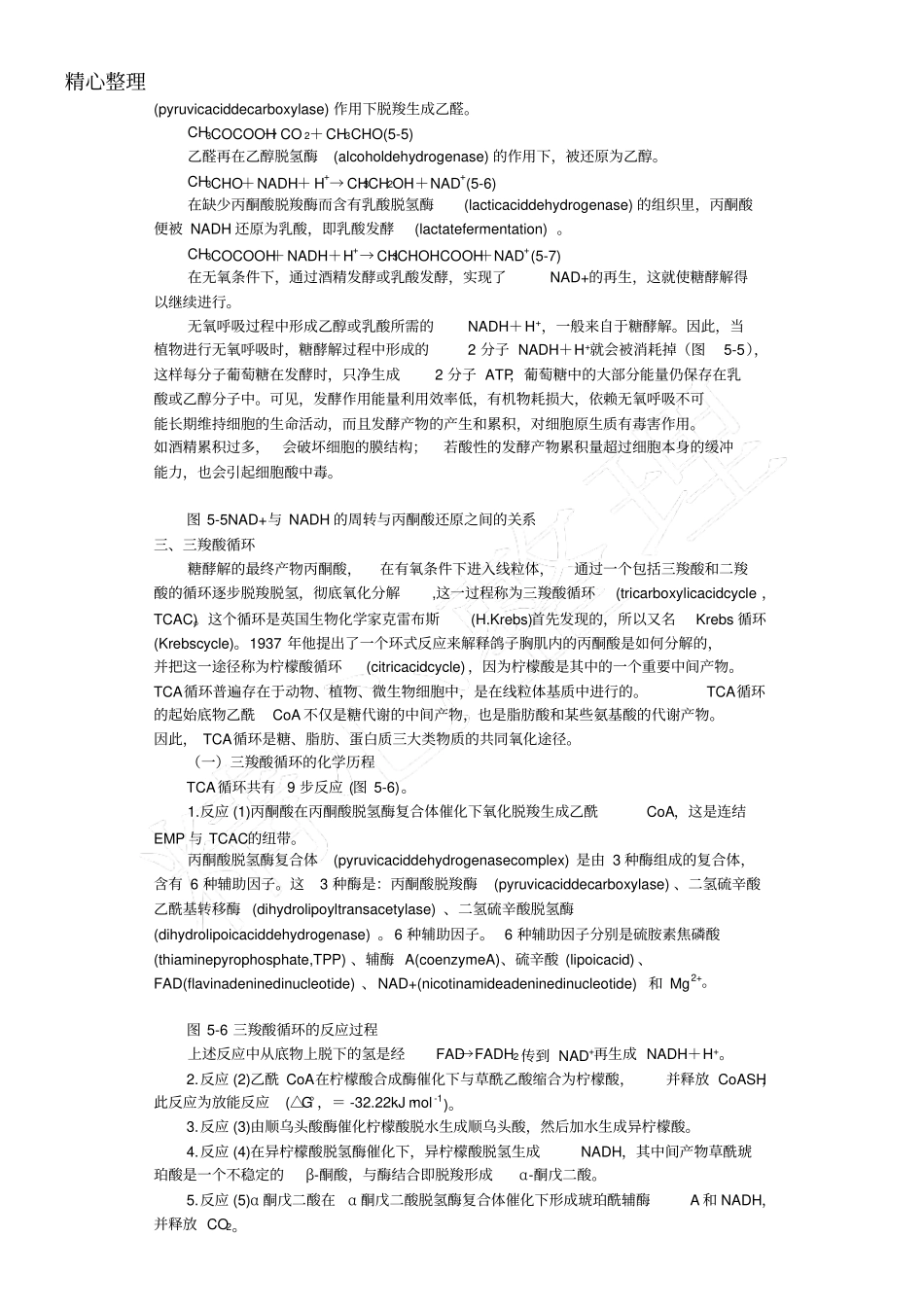糖酵解三羧酸循环总结归纳_第2页