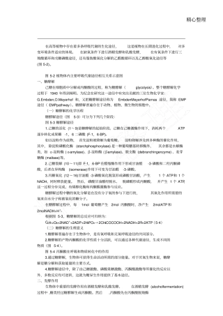 糖酵解三羧酸循环总结归纳