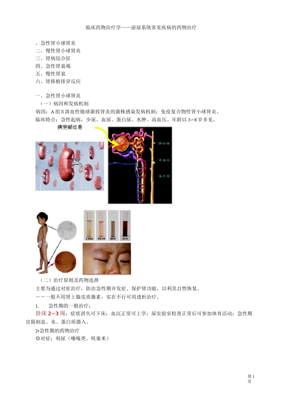 临床药物治疗学——泌尿系统常见疾病的药物治疗_第1页