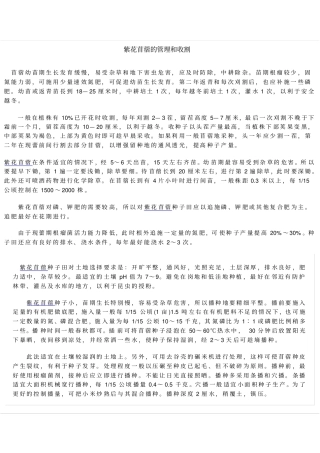 紫花苜蓿的管理和收割
