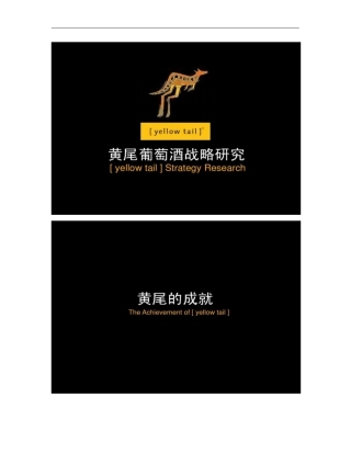 红酒品牌战略分析讲解