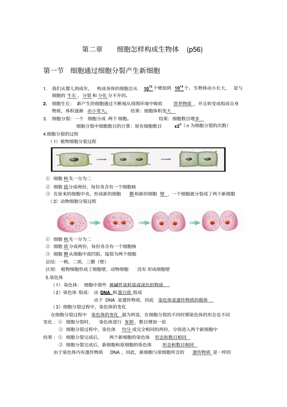 细胞怎样构成生物体复习知识点_第1页