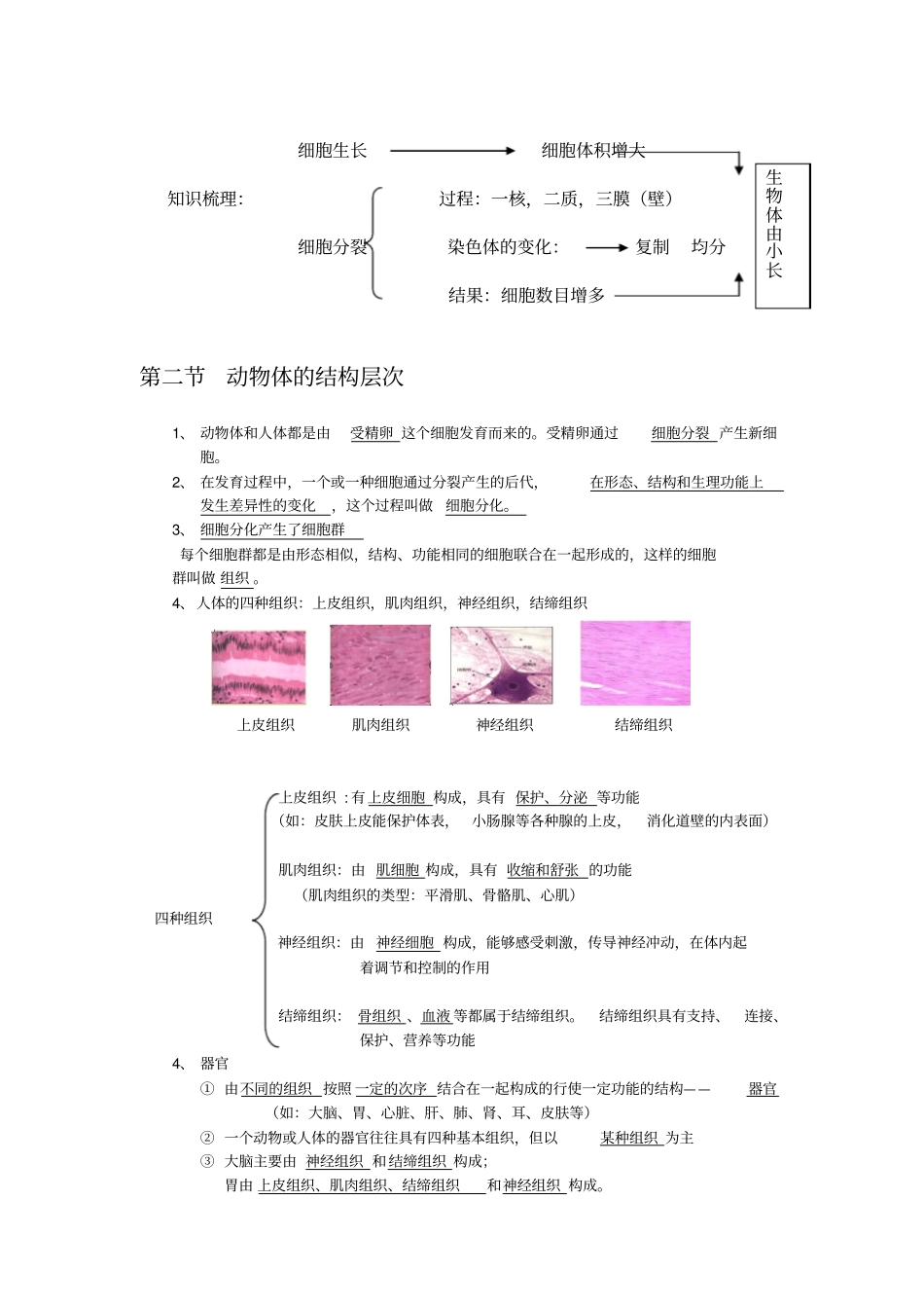 细胞怎样构成生物体复习知识点_第2页