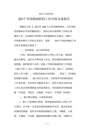 结核病防控自检自查报告文档