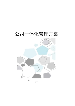 公司一体化管理方案