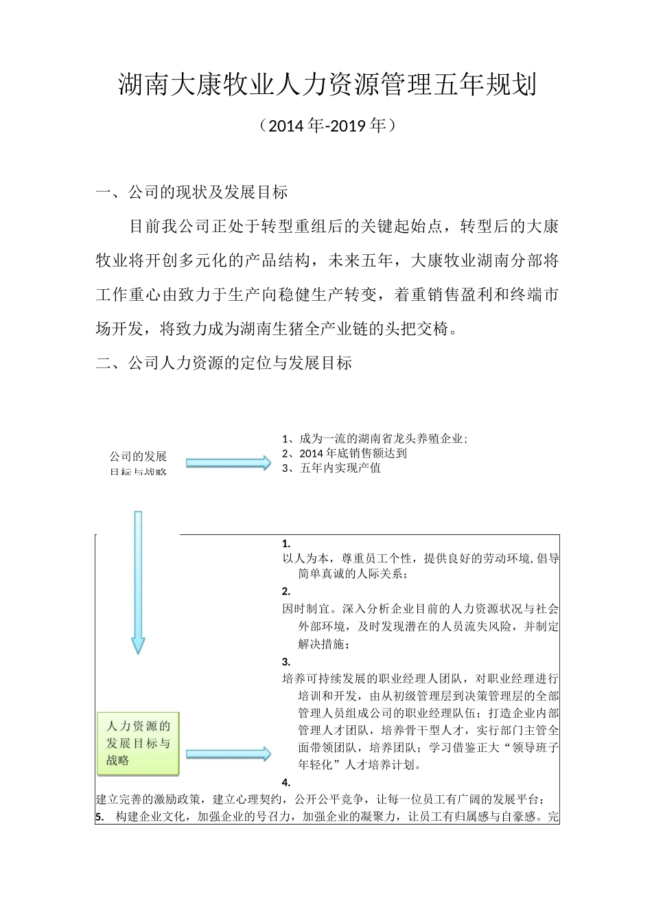 人力资源五年规划_第1页