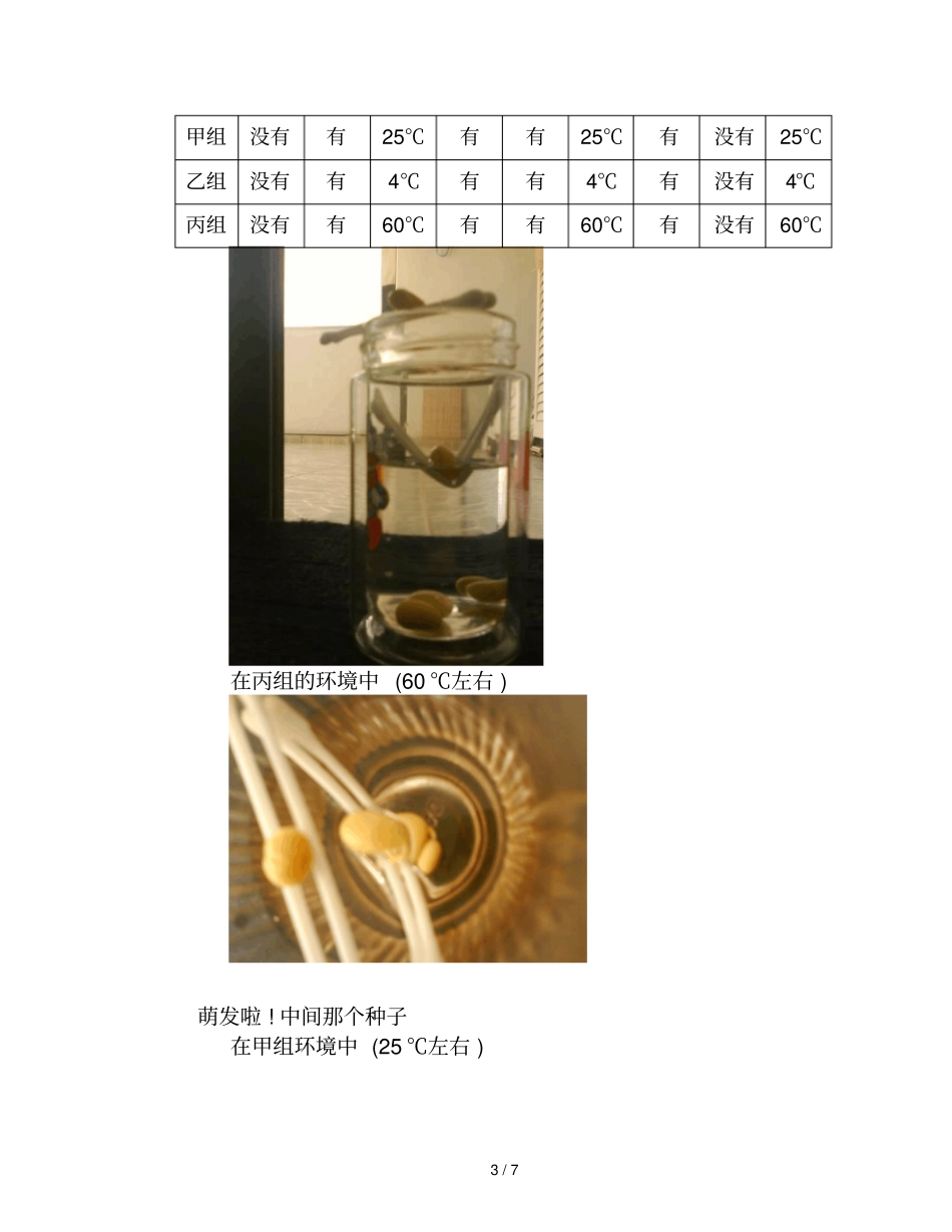绿豆种子发芽对比试验_第3页