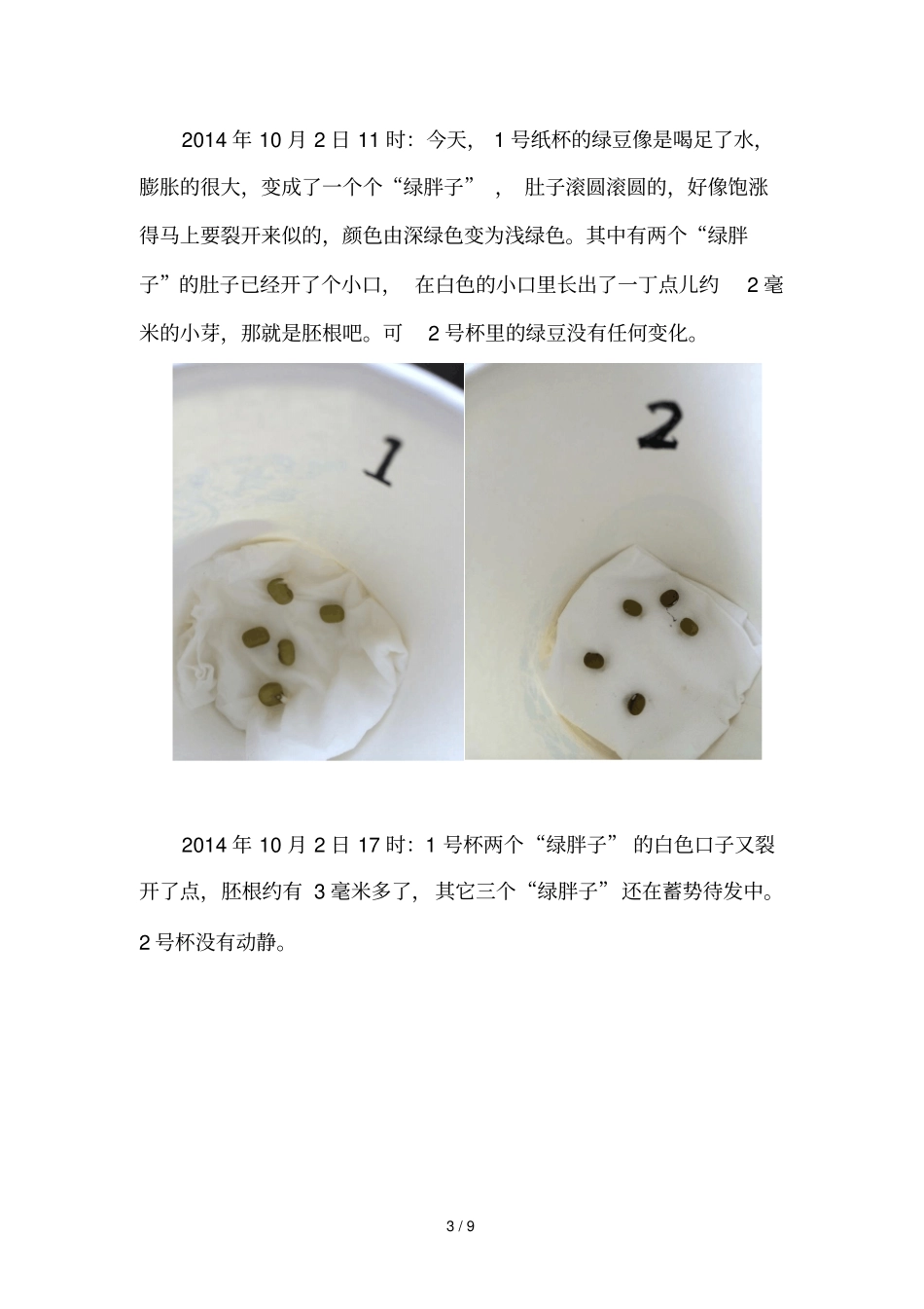 绿豆种子发芽试验报告_第3页