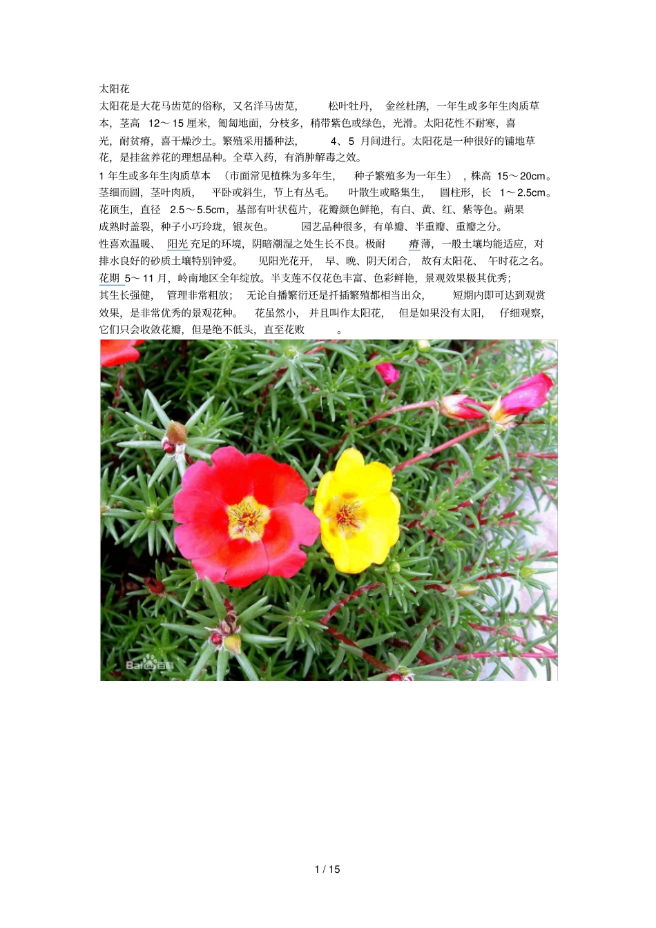 缀花草毯试种品种资料汇总_第1页