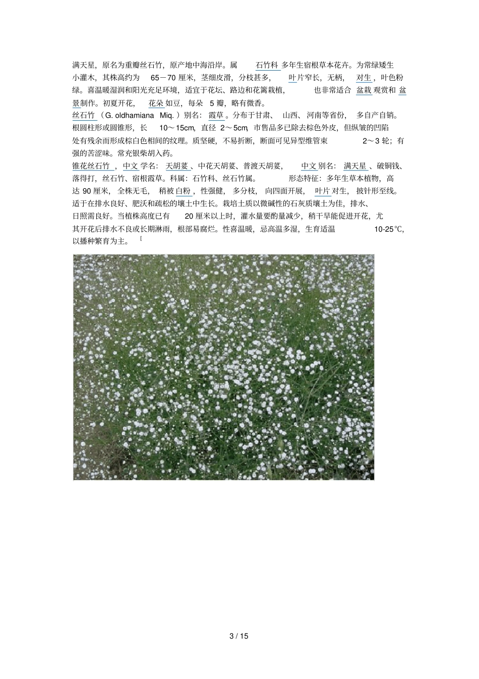 缀花草毯试种品种资料汇总_第3页