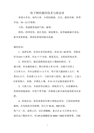 桔子树的栽培技术汇总
