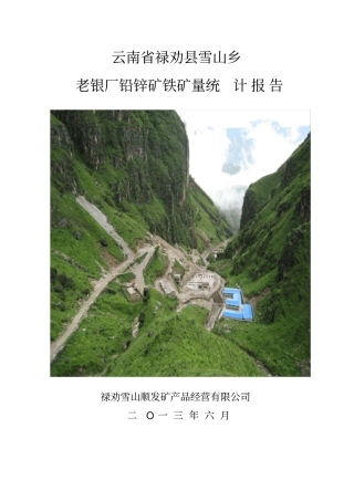 老银厂储量报告