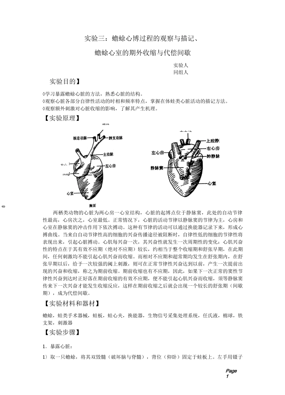 【实验报告】蟾蜍心博过程的观察与描记、蟾蜍心室的期外收缩与代偿间歇_第1页