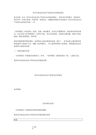 农村水电站安全生产标准化自评报告[模板]