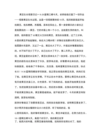 黄豆生长观察日记