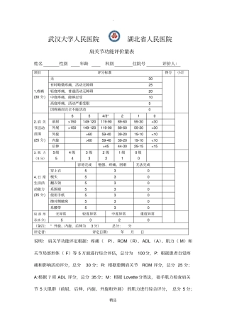 肩关节功能评定量表