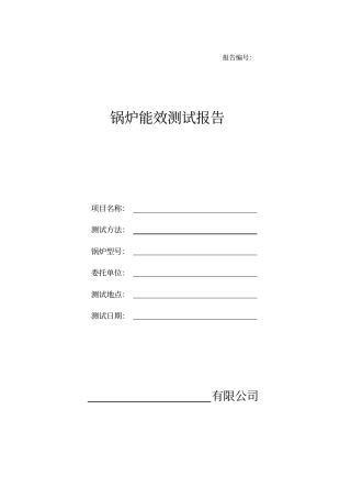 能效测试报告电站锅炉资料