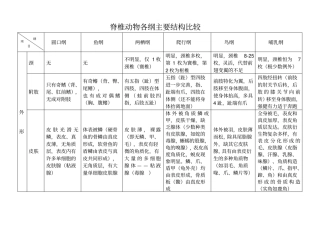 脊椎动物六纲主要结构的比较表1